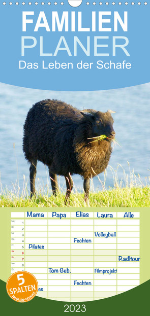 Familienplaner Das Leben der Schafe (Wandkalender 2023 , 21 cm x 45 cm, hoch) von kattobello