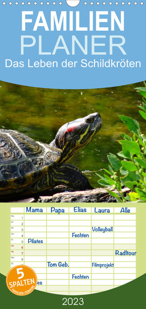 Familienplaner Das Leben der Schildkröten (Wandkalender 2023 , 21 cm x 45 cm, hoch) von kattobello
