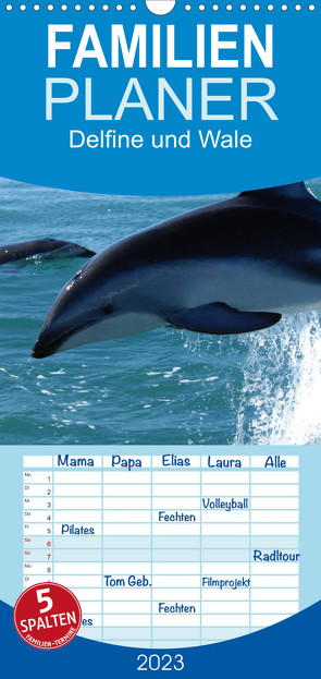 Familienplaner Delfine und Wale (Wandkalender 2023 , 21 cm x 45 cm, hoch) von Stanzer,  Elisabeth