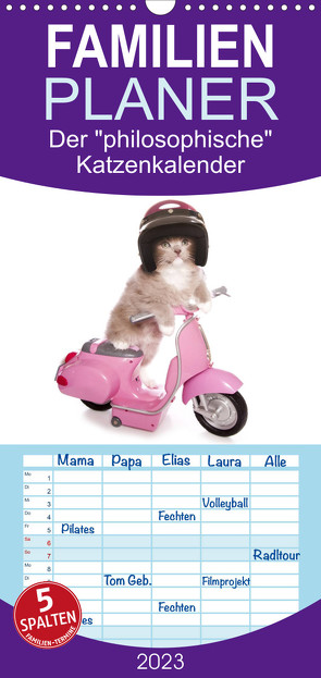 Familienplaner Der „philosophische“ Katzenkalender 2023 (Wandkalender 2023 , 21 cm x 45 cm, hoch) von Missou,  Madame