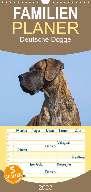Familienplaner Deutsche Dogge (Wandkalender 2023 , 21 cm x 45 cm, hoch) von Starick,  Sigrid