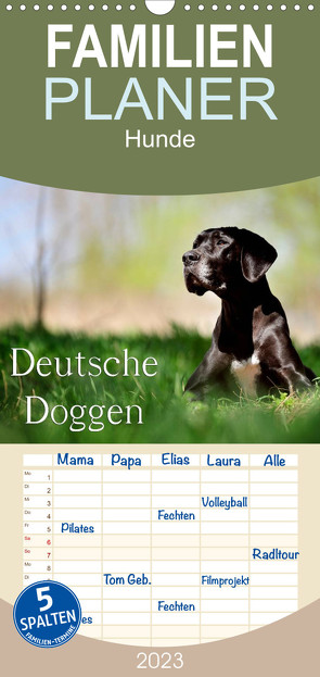 Familienplaner Deutsche Doggen / Geburtstagskalender (Wandkalender 2023 , 21 cm x 45 cm, hoch) von Noack,  Nicole