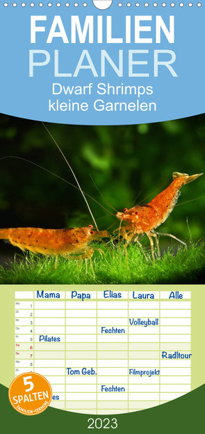 Familienplaner Dwarf Shrimps – kleine Garnelen (Wandkalender 2023 , 21 cm x 45 cm, hoch) von Pohlmann,  Rudolf