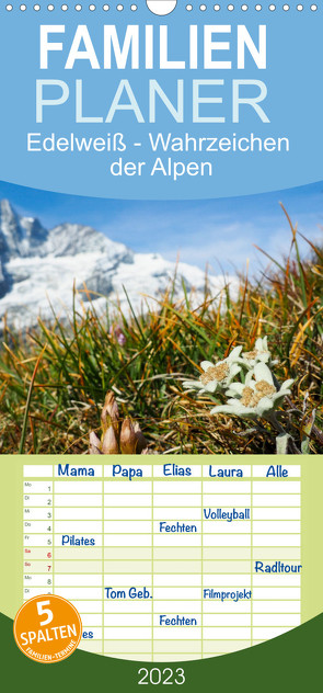 Familienplaner Edelweiß – Wahrzeichen der Alpen (Wandkalender 2023 , 21 cm x 45 cm, hoch) von Schwatzfischer,  Miriam
