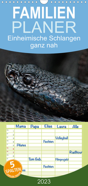 Familienplaner Einheimische Schlangen ganz nah (Wandkalender 2023 , 21 cm x 45 cm, hoch) von Dummermuth,  Stefan