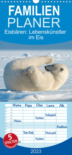 Familienplaner Eisbären: Lebenskünstler im Eis (Wandkalender 2023 , 21 cm x 45 cm, hoch) von CALVENDO