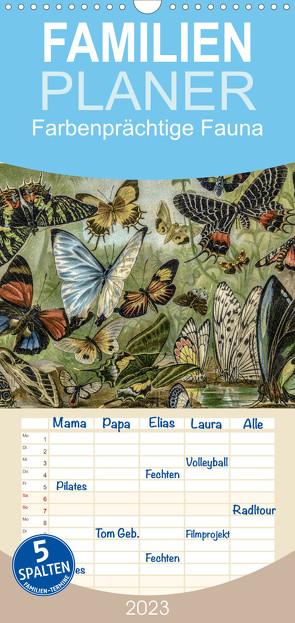 Familienplaner Farbenprächtige Fauna. Fische, Vögel, Schmetterlinge in Grafiken des 19 Jahrhunderts (Wandkalender 2023 , 21 cm x 45 cm, hoch) von Galle,  Jost