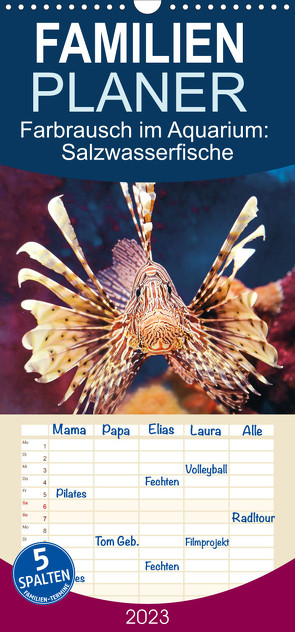 Familienplaner Farbrausch im Aquarium: Salzwasserfische (Wandkalender 2023 , 21 cm x 45 cm, hoch) von CALVENDO