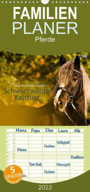Familienplaner Faszination Schwarzwälder Kaltblut (Wandkalender 2023 , 21 cm x 45 cm, hoch) von HomSi-Fotos