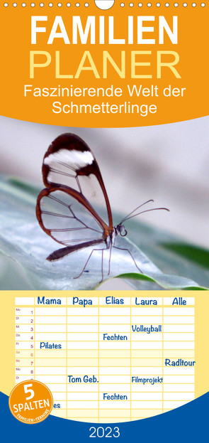 Familienplaner Faszinierende Welt der Schmetterlinge (Wandkalender 2023 , 21 cm x 45 cm, hoch) von Pocketkai