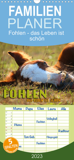Familienplaner Fohlen – das Leben ist schön (Wandkalender 2023 , 21 cm x 45 cm, hoch) von Utz,  Renate