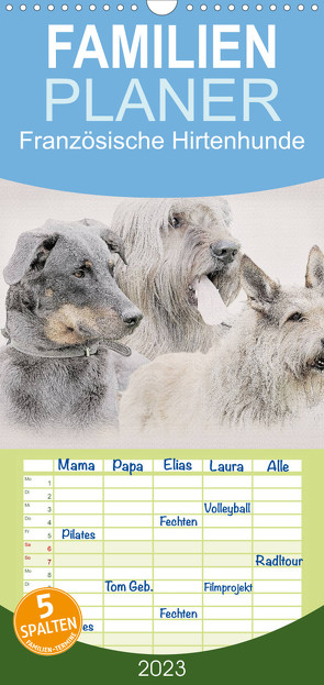 Familienplaner Französische Hirtenhunde 2023 (Wandkalender 2023 , 21 cm x 45 cm, hoch) von Redecker,  Andrea