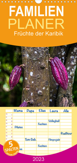 Familienplaner Früchte der Karibik (Wandkalender 2023 , 21 cm x 45 cm, hoch) von T. Berg,  Georg