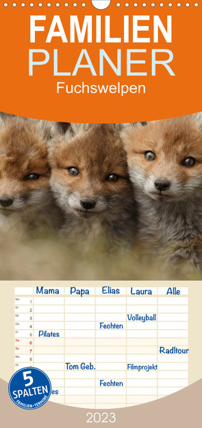 Familienplaner Fuchswelpen (Wandkalender 2023 , 21 cm x 45 cm, hoch) von Marklein,  Gabi