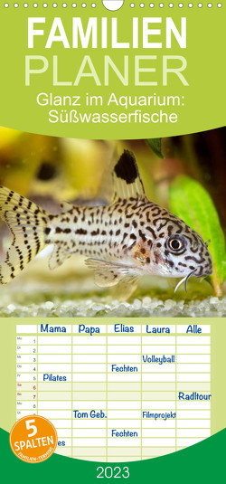 Familienplaner Glanz im Aquarium: Süßwasserfische (Wandkalender 2023 , 21 cm x 45 cm, hoch) von CALVENDO
