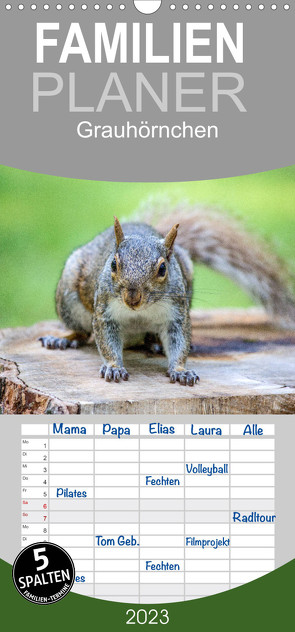 Familienplaner Grauhörnchen-Die nordamerikanischen Eichhörnchen (Wandkalender 2023 , 21 cm x 45 cm, hoch) von pixs:sell@fotolia, Stock,  pixs:sell@Adobe