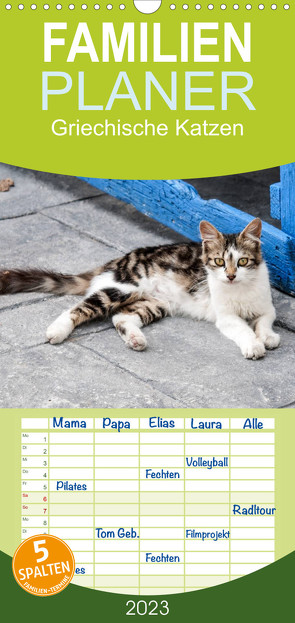 Familienplaner Griechische Katzen (Wandkalender 2023 , 21 cm x 45 cm, hoch) von Lumplecker,  Christine