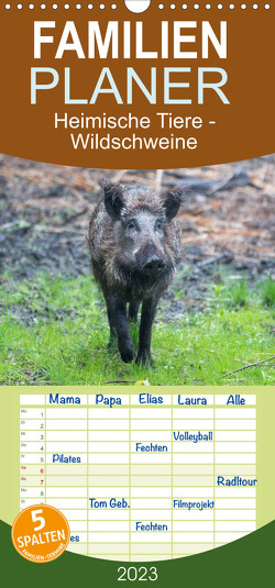 Familienplaner Heimische Tiere – Wildschweine (Wandkalender 2023 , 21 cm x 45 cm, hoch) von pixs:sell