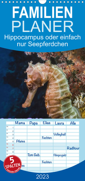 Familienplaner Hippocampus oder einfach nur Seepferdchen (Wandkalender 2023 , 21 cm x 45 cm, hoch) von Gödecke,  Dieter