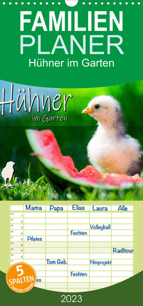 Familienplaner Hühner im Garten (Wandkalender 2023 , 21 cm x 45 cm, hoch) von Zabel,  Fotografie