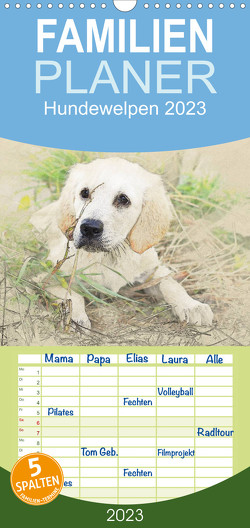 Familienplaner Hundewelpen 2023 (Wandkalender 2023 , 21 cm x 45 cm, hoch) von Redecker,  Andrea