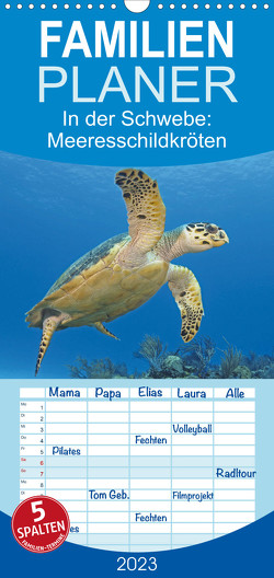 Familienplaner In der Schwebe: Meeresschildkröten (Wandkalender 2023 , 21 cm x 45 cm, hoch) von CALVENDO