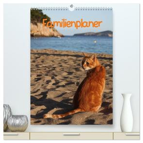 Familienplaner Katzen (hochwertiger Premium Wandkalender 2024 DIN A2 hoch), Kunstdruck in Hochglanz von Lindert-Rottke,  Antje