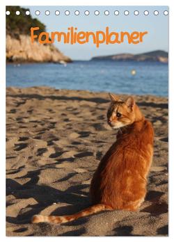 Familienplaner Katzen (Tischkalender 2024 DIN A5 hoch), CALVENDO Monatskalender von Lindert-Rottke,  Antje