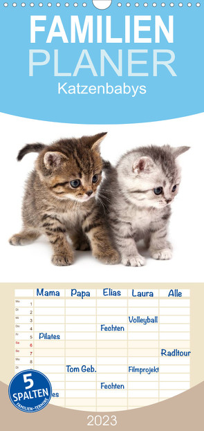Familienplaner Katzenbabys (Wandkalender 2023 , 21 cm x 45 cm, hoch) von Hesch-Foto