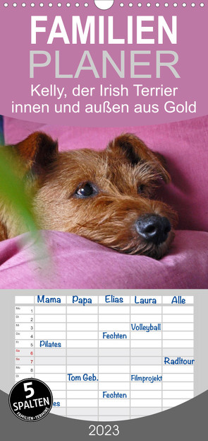 Familienplaner Kelly, der Irish Terrier – innen und außen aus Gold (Wandkalender 2023 , 21 cm x 45 cm, hoch) von Schimon,  Claudia