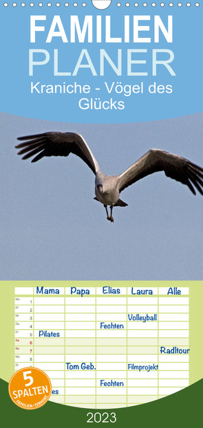 Familienplaner Kraniche – Vögel des Glücks (Wandkalender 2023 , 21 cm x 45 cm, hoch) von Weise,  Ralf