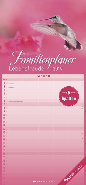Familienplaner Lebensfreude 2019 – Streifenkalender von ALPHA EDITION