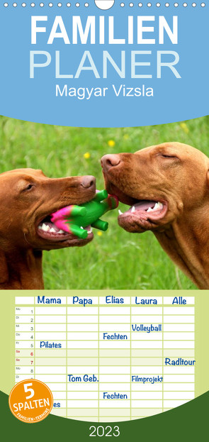 Familienplaner Magyar Vizsla (Wandkalender 2023 , 21 cm x 45 cm, hoch) von Grüttner,  Kerstin