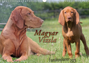 Familienplaner – Magyar Vizsla (Wandkalender 2023 DIN A3 quer) von Mielewczyk,  Barbara