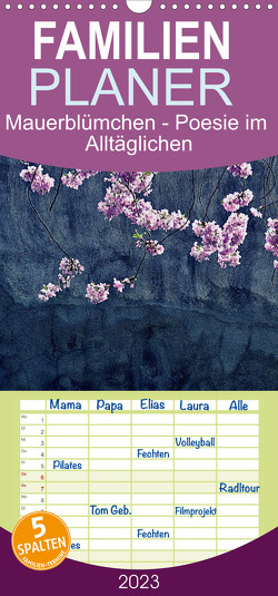 Familienplaner Mauerblümchen – Poesie im Alltäglichen (Wandkalender 2023 , 21 cm x 45 cm, hoch) von d'Angelo - soulimages,  Kirsten