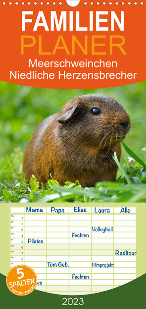 Familienplaner Meerschweinchen Niedliche Herzensbrecher (Wandkalender 2023 , 21 cm x 45 cm, hoch) von Stanzer,  Elisabeth