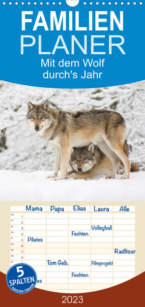 Familienplaner Mit dem Wolf durch’s Jahr (Wandkalender 2023 , 21 cm x 45 cm, hoch) von Martin,  Wilfried
