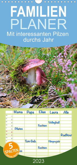 Familienplaner Mit interessanten Pilzen durchs Jahr (Wandkalender 2023 , 21 cm x 45 cm, hoch) von LianeM