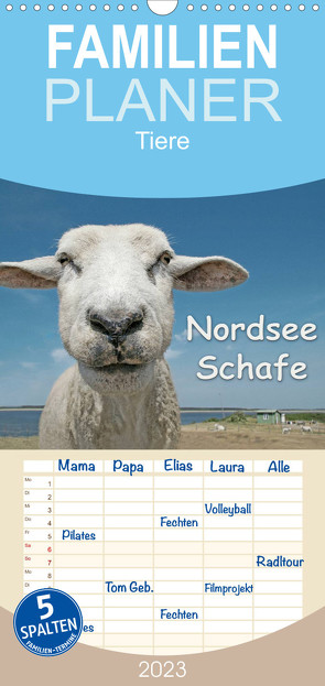 Familienplaner Nordsee Schafe (Wandkalender 2023 , 21 cm x 45 cm, hoch) von Wilken,  Andrea