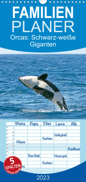 Familienplaner Orcas: Schwarz-weiße Giganten (Wandkalender 2023 , 21 cm x 45 cm, hoch) von CALVENDO
