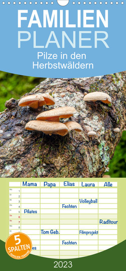 Familienplaner Pilze in den Herbstwäldern (Wandkalender 2023 , 21 cm x 45 cm, hoch) von Gaymard,  Alain