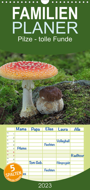 Familienplaner Pilze – tolle Funde (Wandkalender 2023 , 21 cm x 45 cm, hoch) von Bindig,  Rudolf