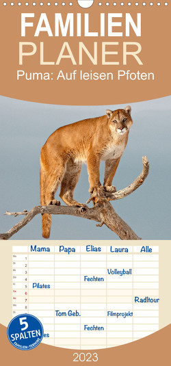 Familienplaner Puma: Auf leisen Pfoten (Wandkalender 2023 , 21 cm x 45 cm, hoch) von CALVENDO