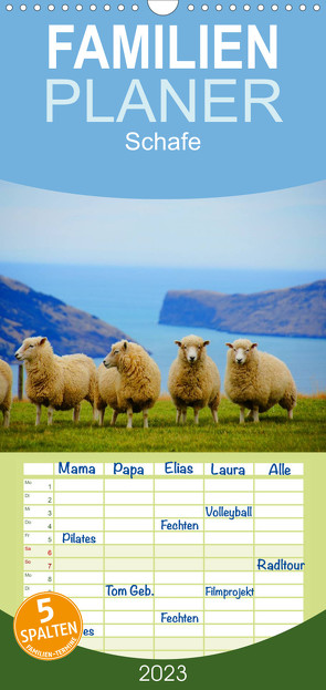 Familienplaner Schafe (Wandkalender 2023 , 21 cm x 45 cm, hoch) von Stanzer,  Elisabeth
