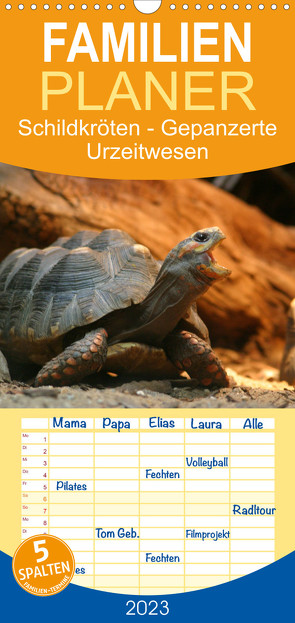 Familienplaner Schildkröten – Gepanzerte Urzeitwesen (Wandkalender 2023 , 21 cm x 45 cm, hoch) von Mielewczyk,  Barbara