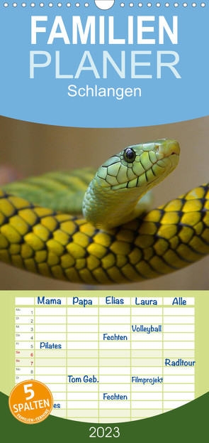 Familienplaner Schlangen (Wandkalender 2023 , 21 cm x 45 cm, hoch) von Stanzer,  Elisabeth