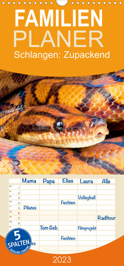 Familienplaner Schlangen: Zupackend (Wandkalender 2023 , 21 cm x 45 cm, hoch) von CALVENDO