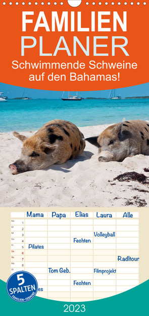 Familienplaner Schwimmende Schweine auf den Bahamas! (Wandkalender 2023 , 21 cm x 45 cm, hoch) von Stanzer,  Elisabeth