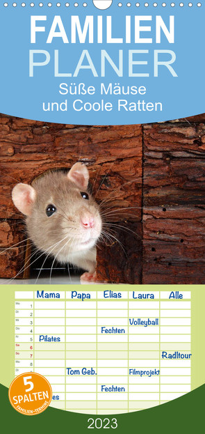 Familienplaner Süße Mäuse und Coole Ratten (Wandkalender 2023 , 21 cm x 45 cm, hoch) von Eppele,  Klaus