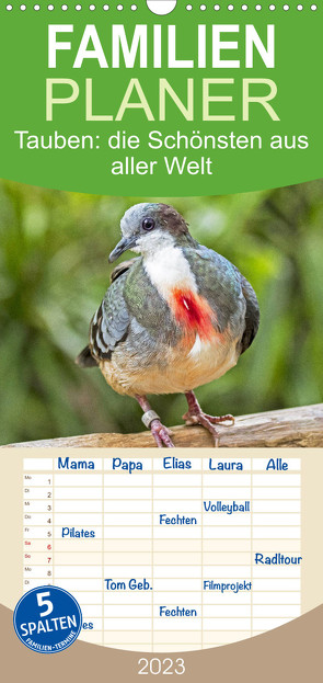 Familienplaner Tauben: die Schönsten aus aller Welt (Wandkalender 2023 , 21 cm x 45 cm, hoch) von CALVENDO